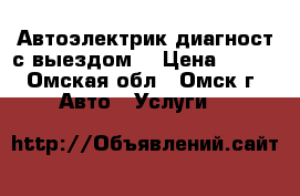 Автоэлектрик-диагност с выездом. › Цена ­ 300 - Омская обл., Омск г. Авто » Услуги   